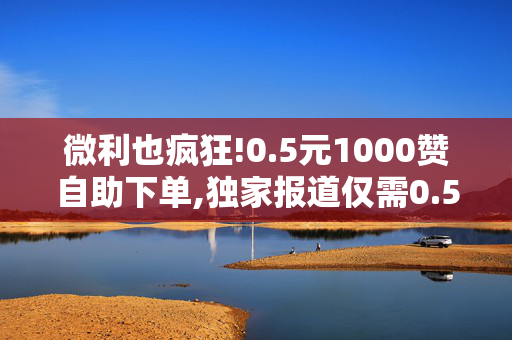 微利也疯狂!0.5元1000赞自助下单,独家报道仅需0.5元即可获得1000个赞，轻松自助下单！！